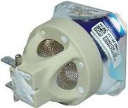 ELPLP77